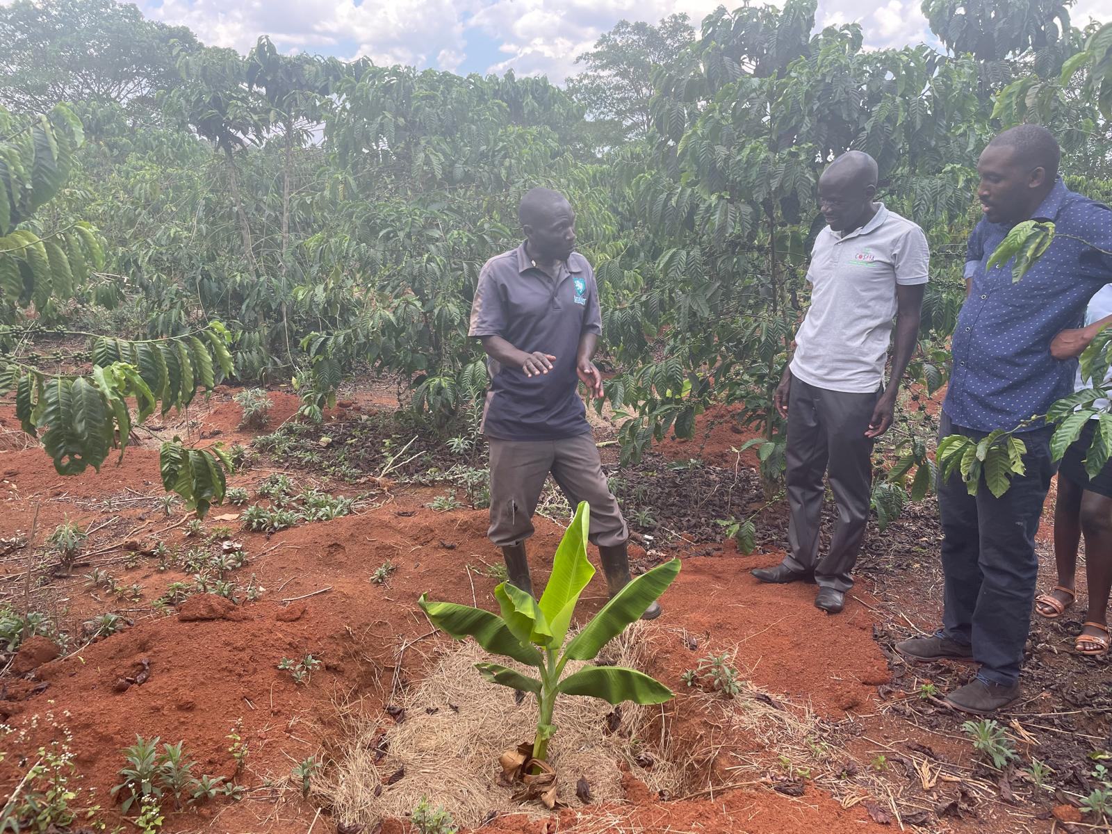 Agriculture for good