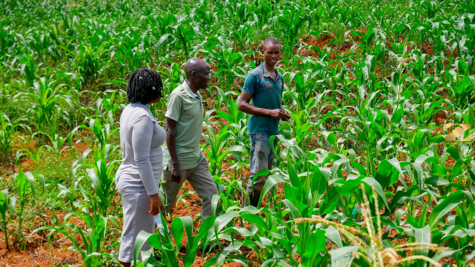 Joseph Mugema: Cultivating Change Beyond His Farm