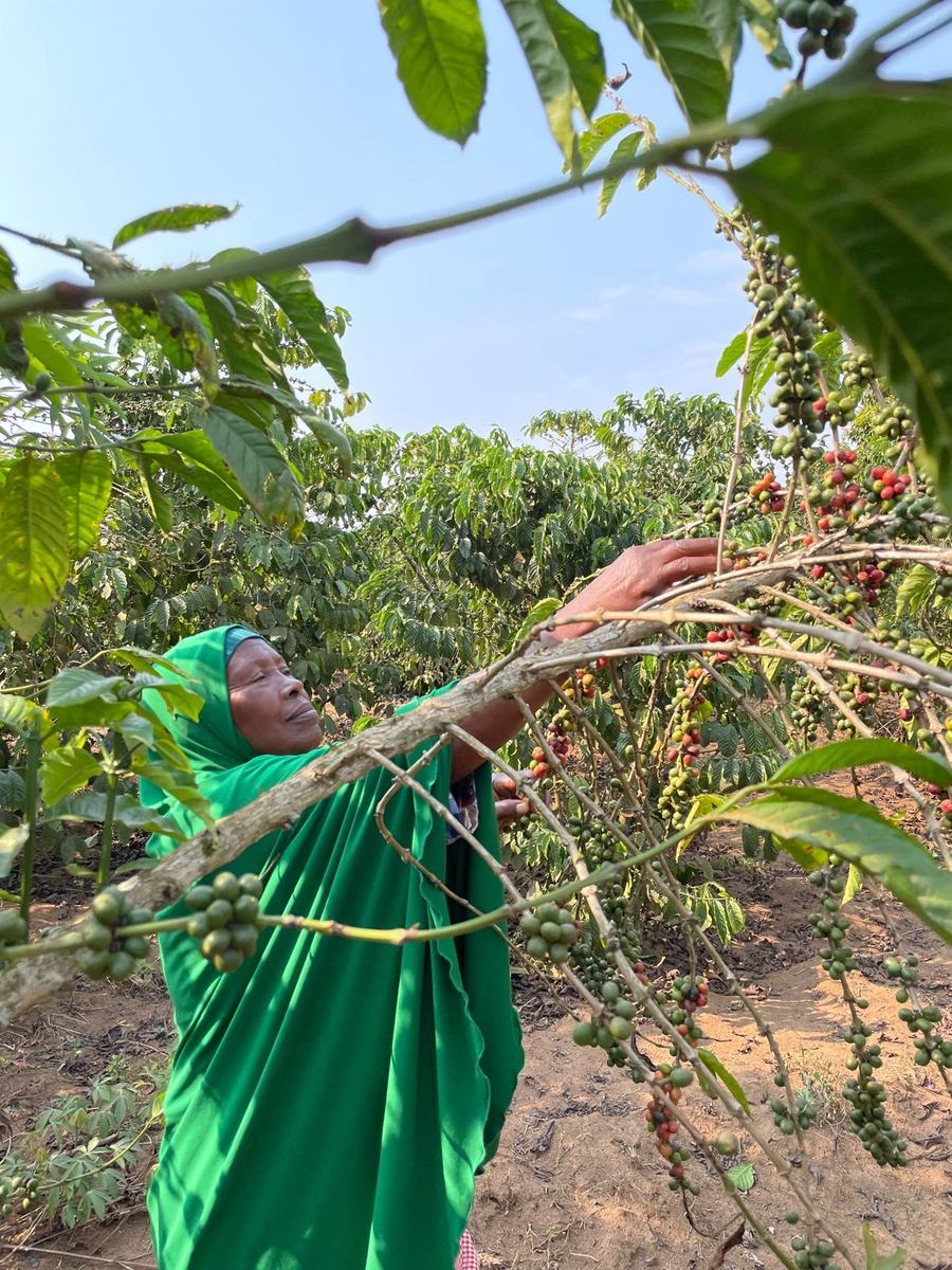 Hasifah’s Journey to Building a Sustainable Livelihood