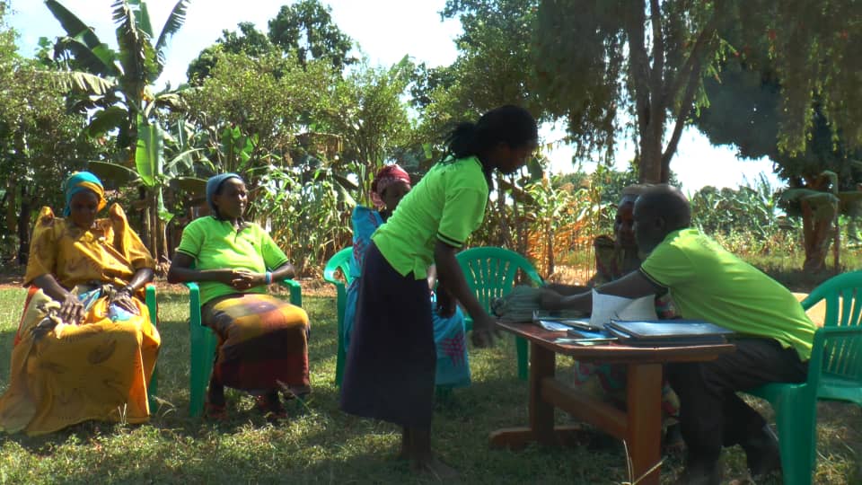 Nakasenyi Agali Awamu Farmers Field School: From Collapse to Community Transformation